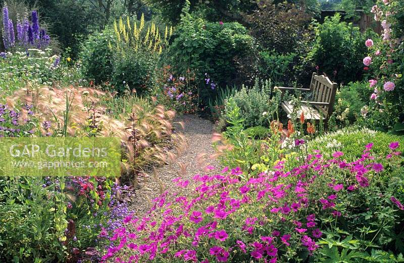 Windy Ridge Yorkshire gravel path with wooden bench and informal perennial borders Geranium Patricia Hordeum jubatum