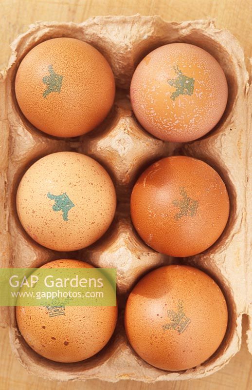 Clarence Court free range organic egg Burford Brown whole egg in eggbox