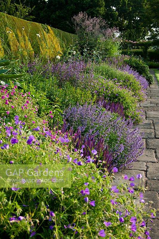 herbaceous border