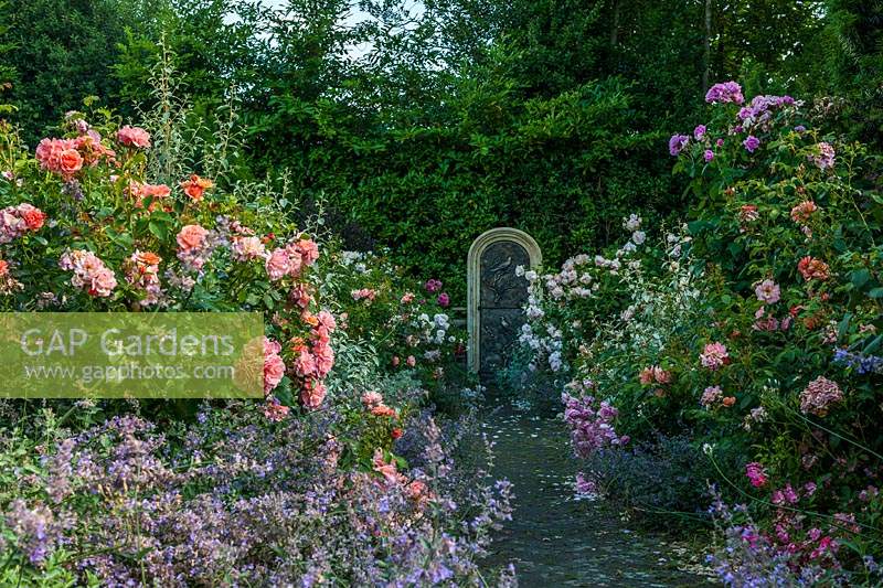 small formal rose garden