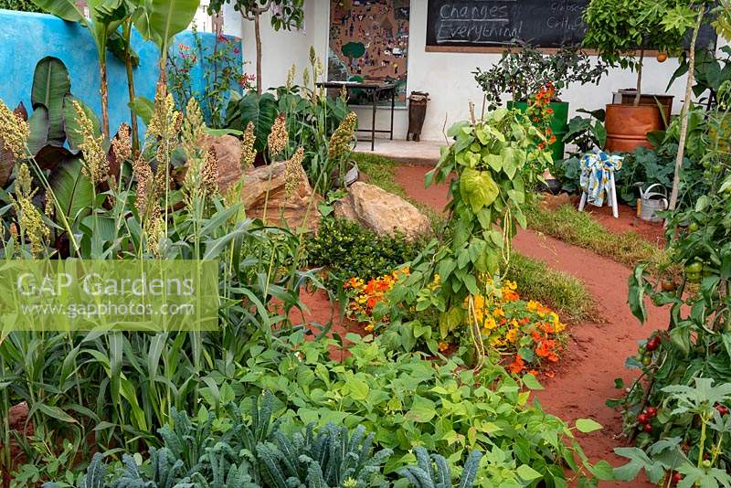 The Camfed Garden: Giving Girls in Africa a space to Grow. Looking across a bed of squash, Cucurbita maxima 'Jack o Lantern' to the work station.  Designer: Jilayne Rickards, Sponsors: The Campaign for Female Education 