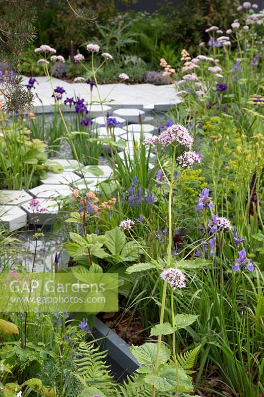 The Manchester Garden, view of sculptures and cottage garden planting, with hexagonal stepping stones over the pond, bordered by centranthus ruber 'Albus', rodgersia, and iris sibirica - Designer: Exterior Architecture, exteriorarchitecture.com. RHS Chelsea Flower Shwo 2019