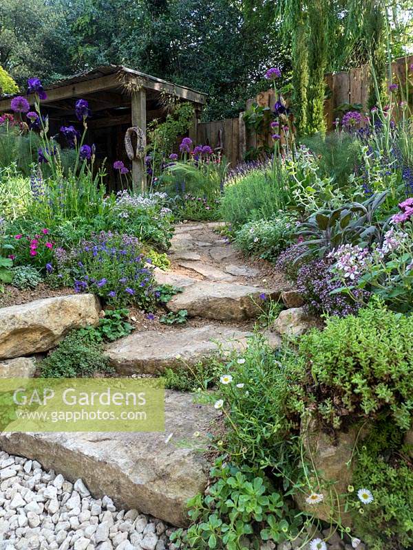 The Donkey Sanctuary: Donkeys Matter Garden at RHS Chelsea Flower Show 2019 - a stone path leading you up to the purple planting of Lavendula and Aliums. - Designer:  Christina Williams and Annie Prebensen - Sponsor: The Donkey Sanctuary