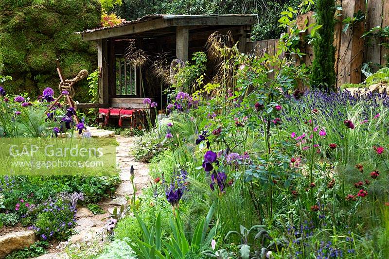 A path surrounded by Allium, Iris and Nepeta - The Donkey Sanctuary: Donkeys Matter Garden at RHS Chelsea Flower Show 2019, Designer: Christina Williams and Annie Prebensen, Sponsor: The Donkey Sanctuary 