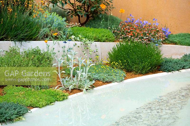Mixed planting in raised beds. The Dubai Majlis Garden. Designed by Thomas Hoblyn. Sponsored by Dubai. RHS Chelsea Flower Show, 2019.

