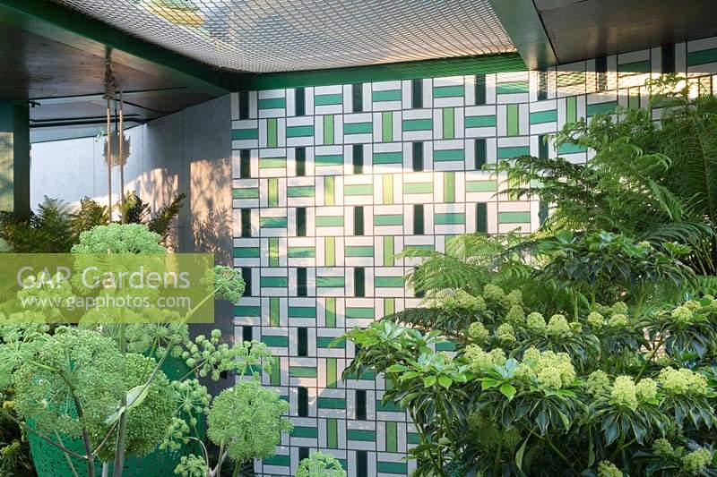 Glazed tiled wall in shaded area of garden, planted with Angelica and ferns. The Greenfingers Charity Garden. Designed by Kate Gould Gardens, sponsored by Greenfingers Charity, RHS Chelsea Flower Show, 2019.
