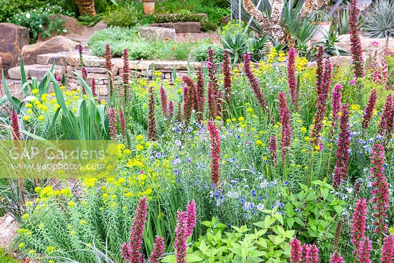 The Resilience Garden at RHS Chelsea Flower Show 2019, Design: Sarah Eberle, Sponsor: Gravetye Manor Hotel and Restaurant, Kingscote Estate, Forestry Commission, Department for Environment, Food and Rural Affairs, Royal Botanic Gardens, Kew,Scottish Forestry, Scottish Government, Welsh Government