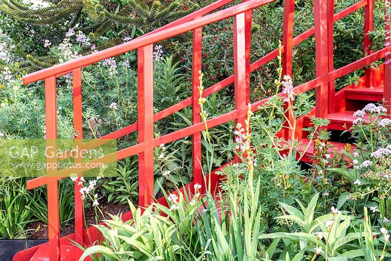 The Trailfinder's 'Undiscovered Latin America' Garden, RHS Chelsea Flower Show 2019, Design: Jonathan Snow, Sponsor: Trailfinders