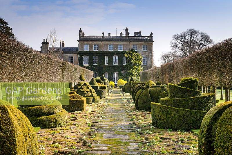 The Thyme Walk with Golden Yew Topiary, Highgrove Garden in March, 2019.