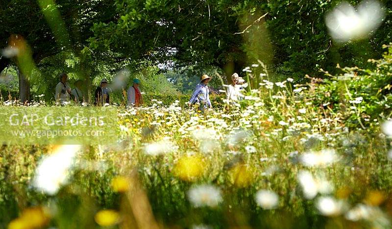 Visitors in The Wild Flower Meadow, Highgrove, June, 2019.