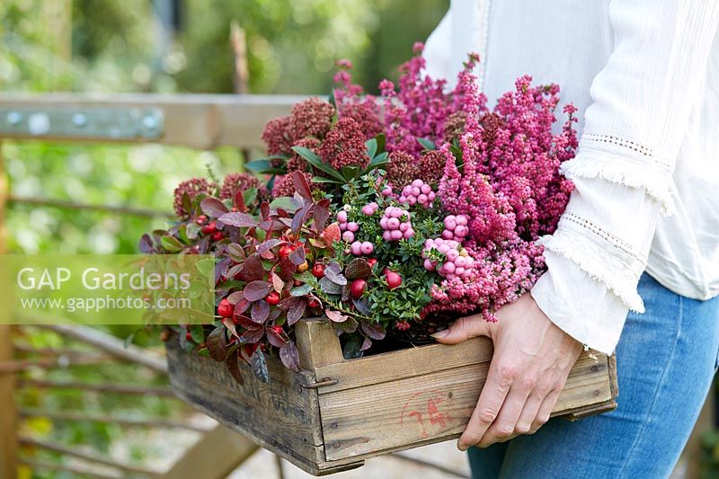 Autumn container