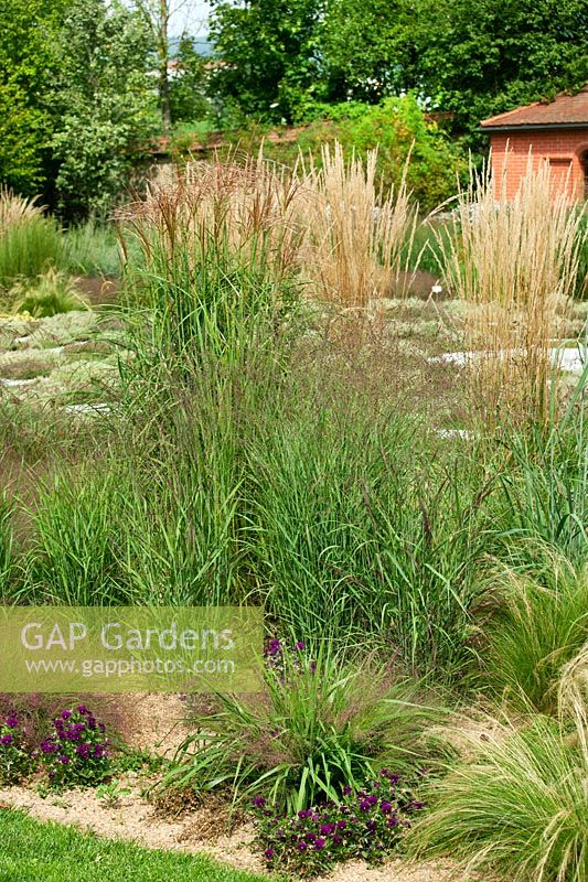 Garden design with ornamental grasses