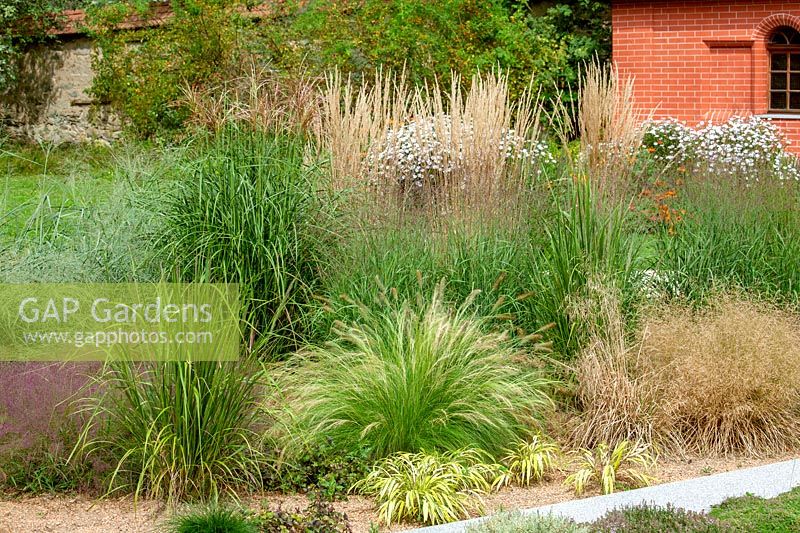 Garden design with ornamental grasses