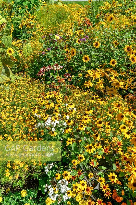 Annual border in yellow color tones