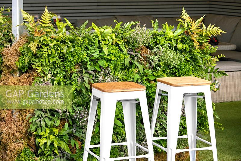 Living wall with herbs and ferns