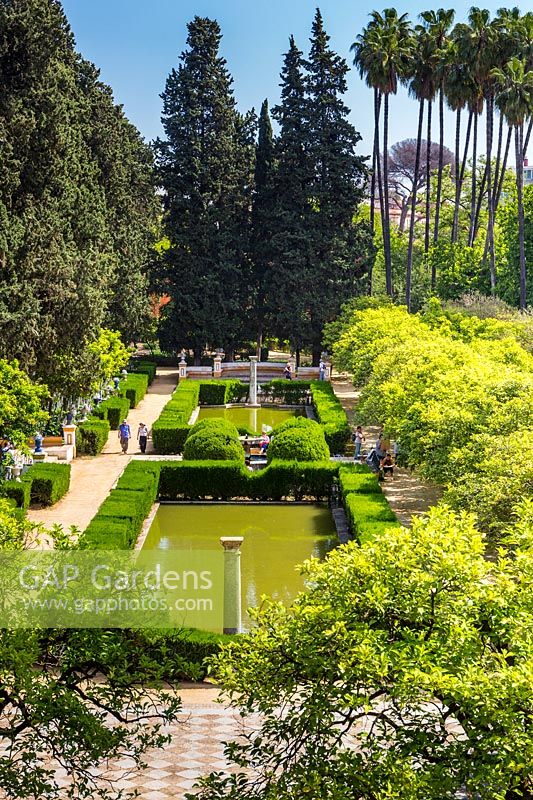 View into the Jardin de los Poetas with its formal ponds and pillars. Planting includes Palms, Citrus x sinensis and Myrtus communis hedging in the Real Alcazar Gardens, Seville.
