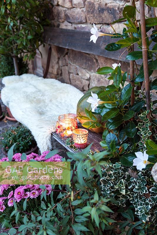 Garden bench with sheepskin rug, pink chrysanthemum, candles and Dipladena
in a pot