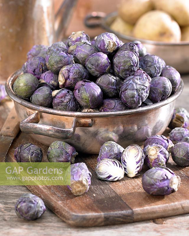 Brassica oleracea var. gemmifera in silver dish. 