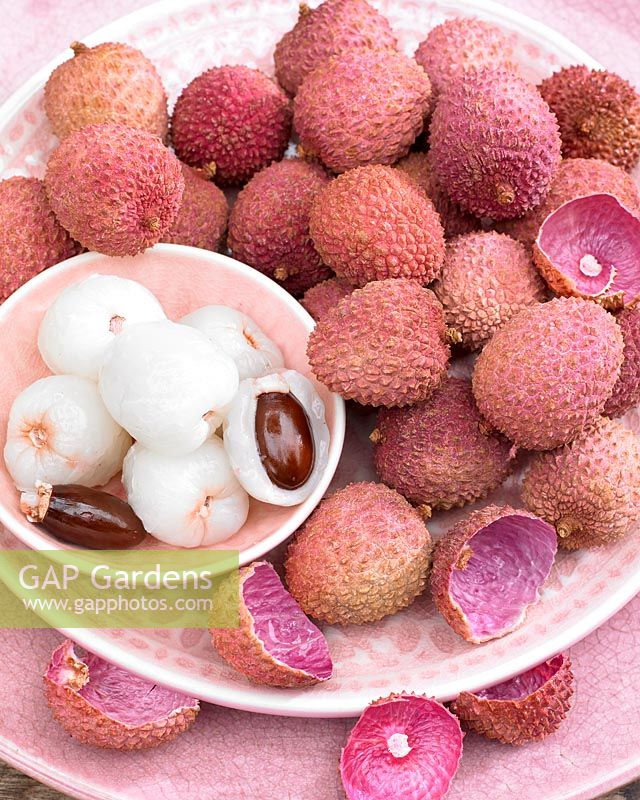 A pile of Litchi chinensis, Lychee, in a pink patterned bowl and plate set.