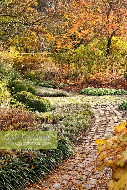 Curved pathway leading through autumn garden with mixed borders 