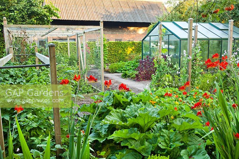 Vegetable garden with greenhouse, fruit cage and plant supports