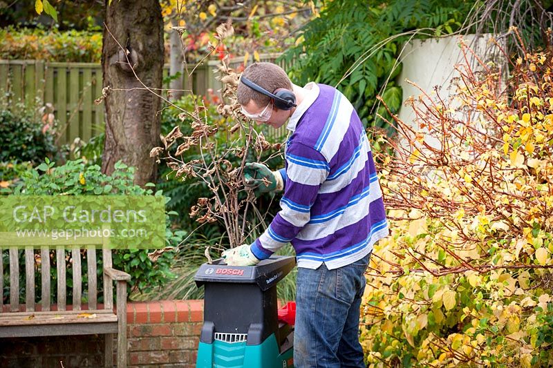 Man using a shredding machine to shred prunings. 