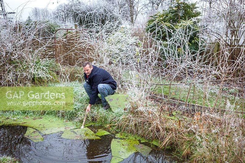 Taking advantage of the ice by removing chunks of frozen algae from a frozen pond