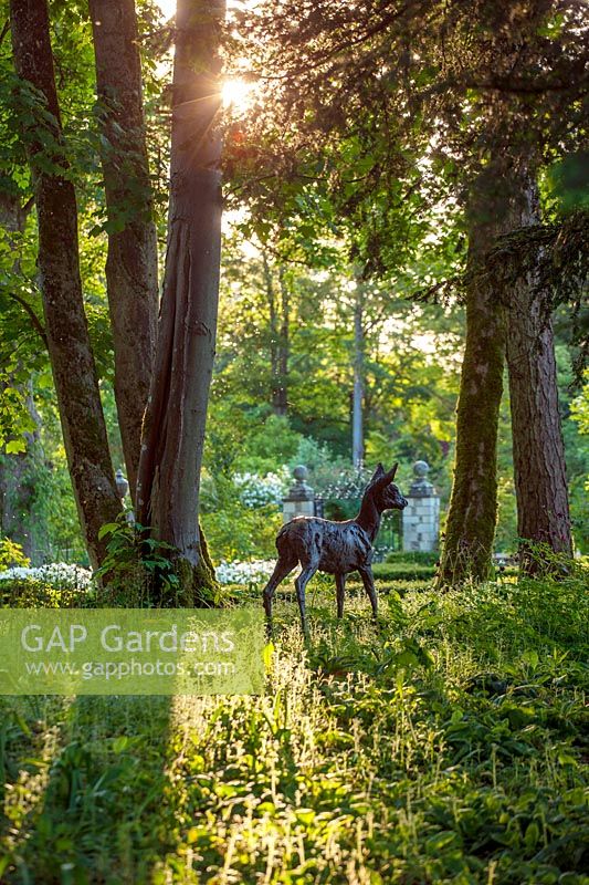 Lifelike bronze sculpture of roe deer by Hamish Mackie in woodland - Ornament, focal point, shade, shady Ablington manor, gloucestershire: 