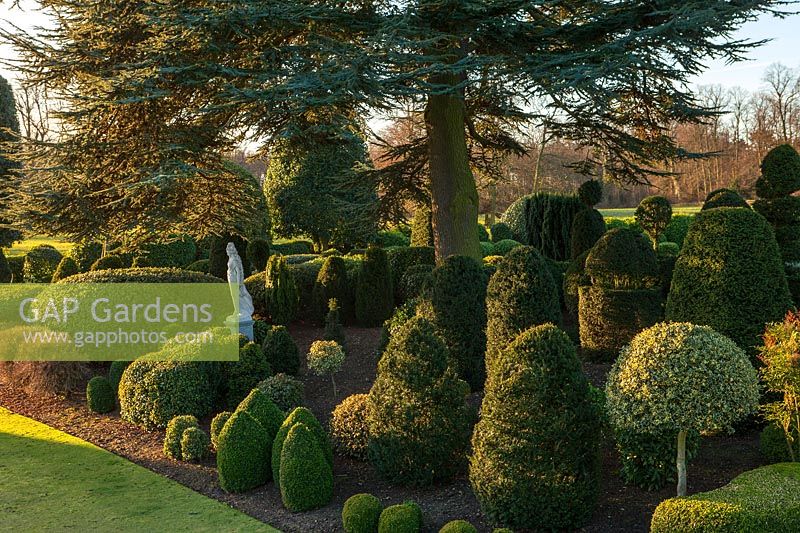 Evergreen topiary borders at Brodsworth Hall, Yorkshire. 
