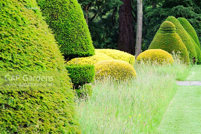 Clipped Taxus baccata - Yew - topiary and flowerbeds, Askham Hall, near Penrith, Cumbria.