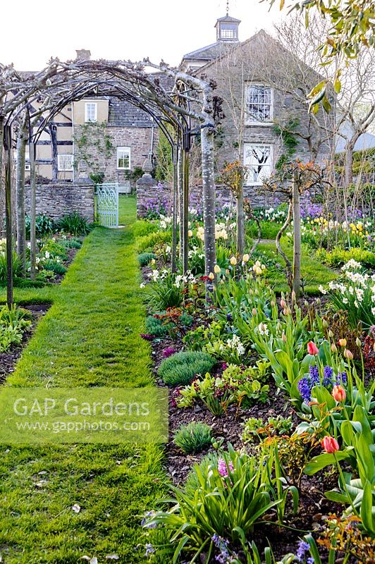 View up straight grass path and bed of spring bulbs through trained tree arch towards
house 