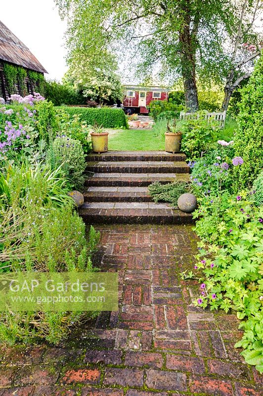Steps lead between beds planted with box, hardy geraniums, Thalictrum aquilegiifolium, rosemary and alliums. Terstan, Stockbridge, Hants, UK