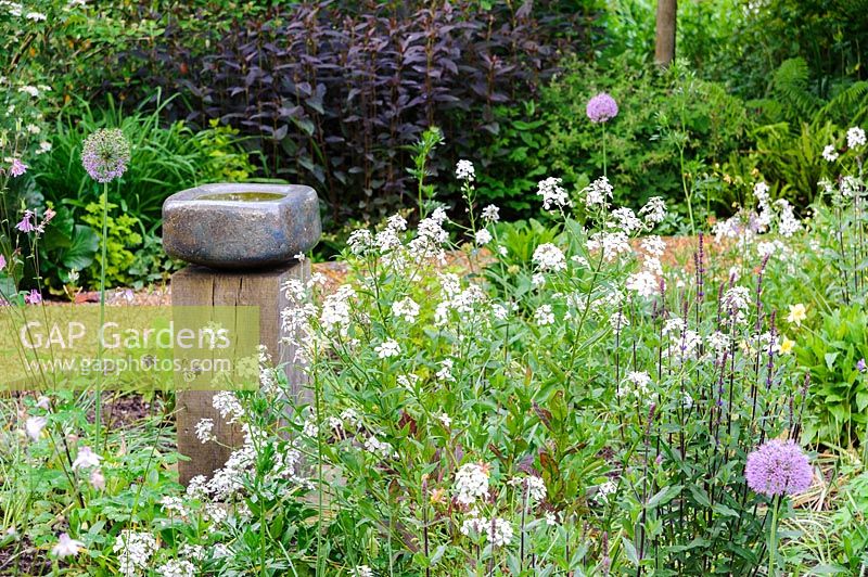 Contemporary birdbath surrounded by border of Bed of  Aquilegia, Allium and honesty. Terstan, Stockbridge, Hants, UK.