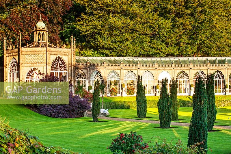 Curving Orangery at Sezincote, Gloucestershire, overlooking lawn and Taxus baccata 'Fastigiata' - Irish Yews.