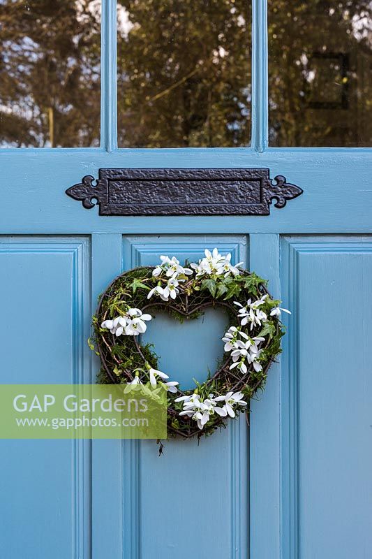 Galanthus, Hedera and moss heart-shaped wreath on blue front door.