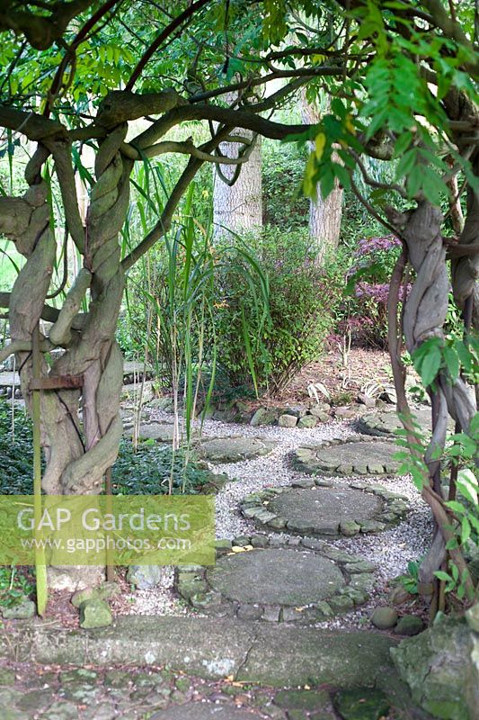 Stepping stone path under wisteria covered pergola in the Japanese inspired garden 