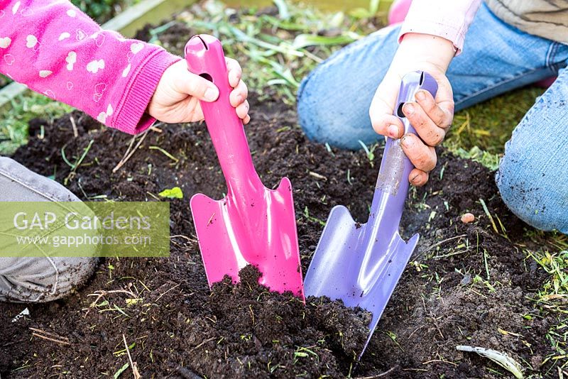 Children digging with colourful gardening trowels. 