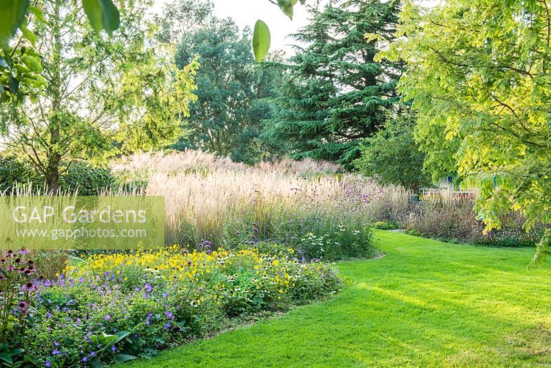 View of  perennial border in late summer with grasses. 