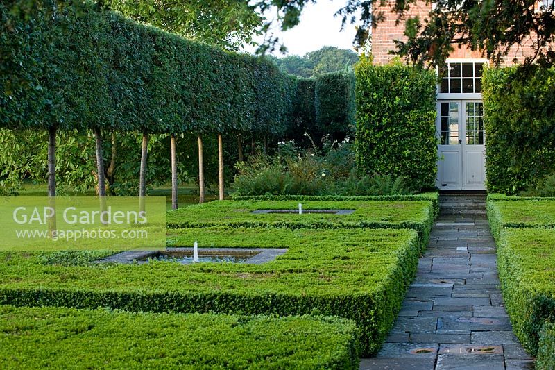 View of clipped Buxus squares with central water feature, and pleached stilt hedging.
