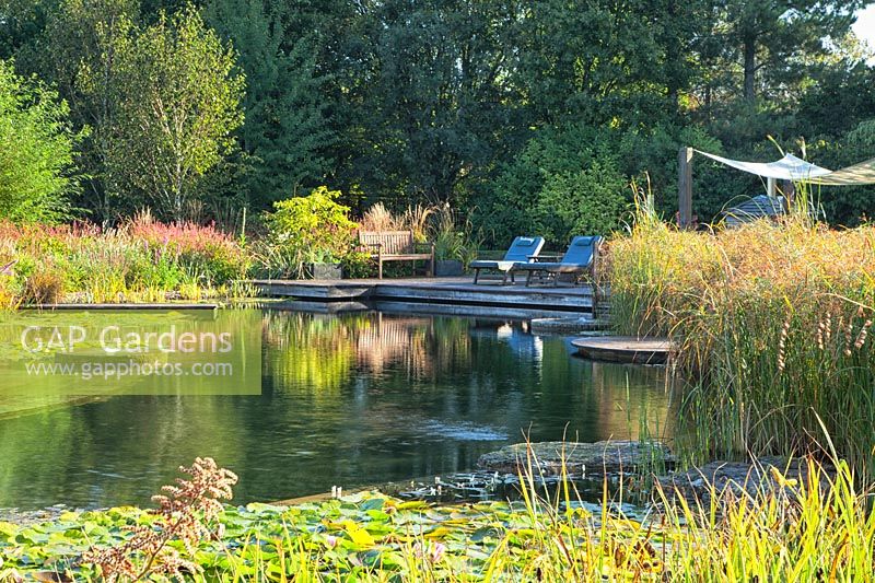 View of natural swimming pool at Ellicar Gardens, Nottinghamshire