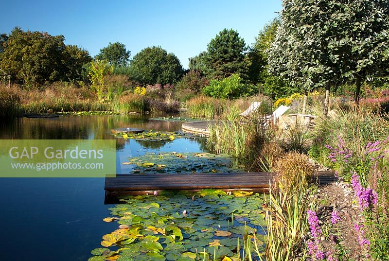 View of natural swimming pool and wooden jetty at Ellicar Gardens, Nottinghamshire.