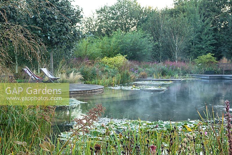 Natural swimming pool in mist at Ellicar Gardens, Nottinghamshire