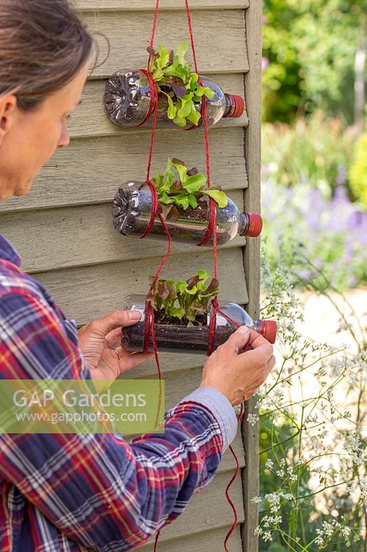 Woman adjusting string to hang plastic bottle planters in a vertical arrangement. 