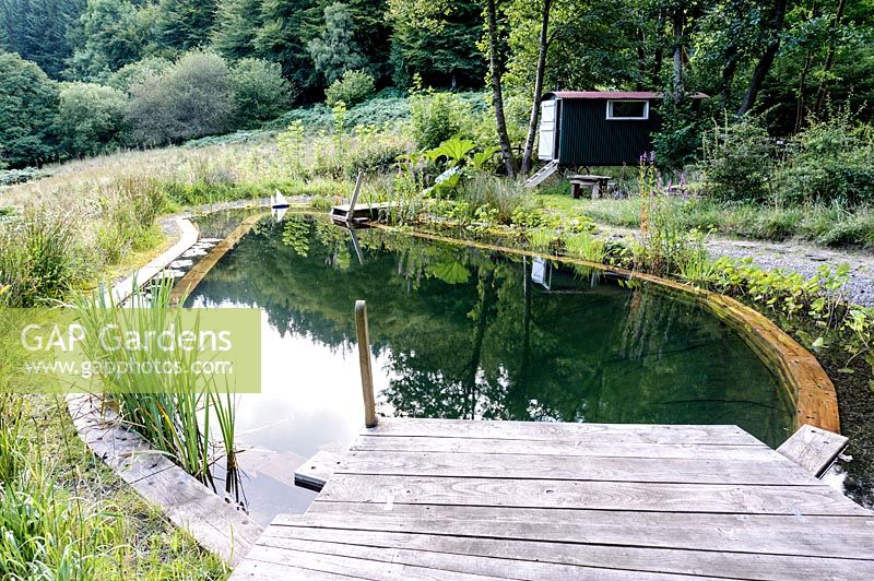 Natural swimming pond with views of the surrounding forest.