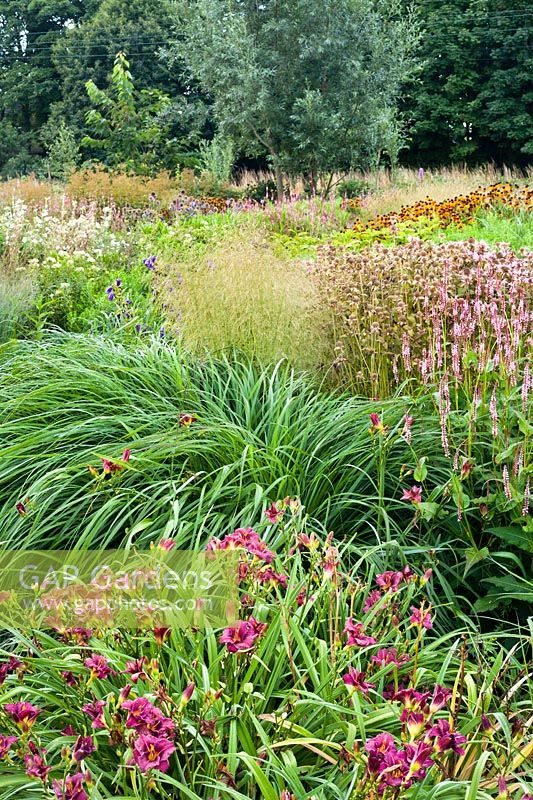Mixed perennial and grass border at Frank Hejligens garden, Netherlands.