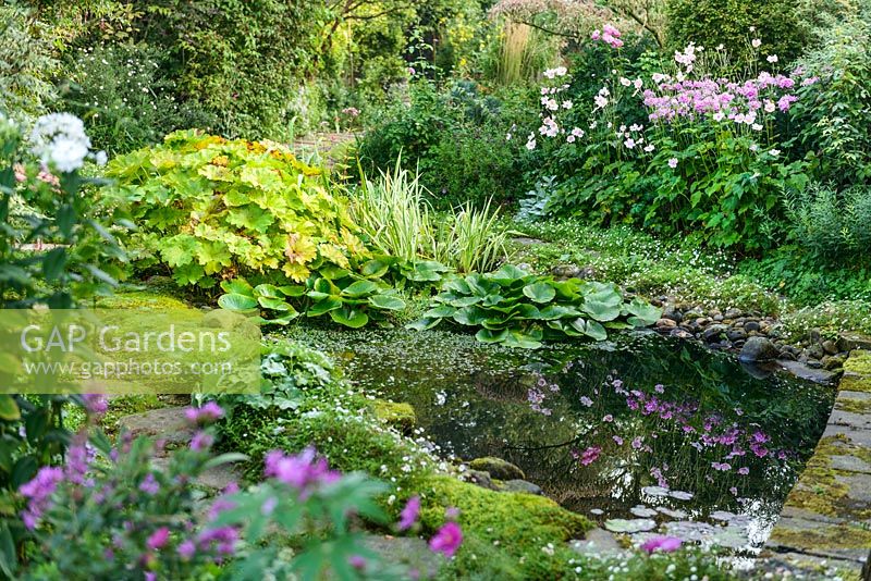 Mixed planting around a pond in NGS garden in St Albans, Hertfordshire, UK.