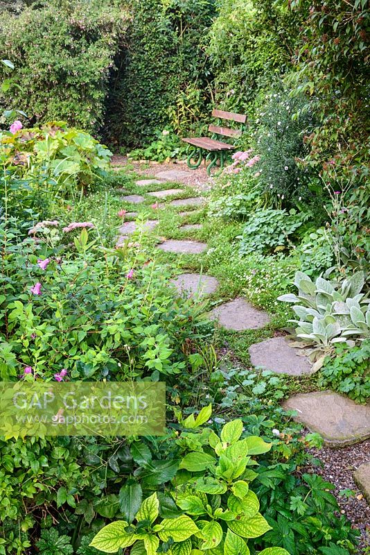 A stone path leading to a garden bench in NGS garden in St Albans, Hertfordshire, UK.

