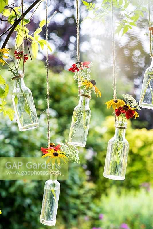 Hanging bottles with rudbeckias and heleniums