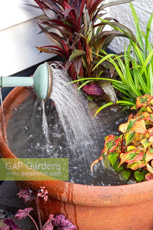 Close up detail of person topping up large plastic container pond with watering can.