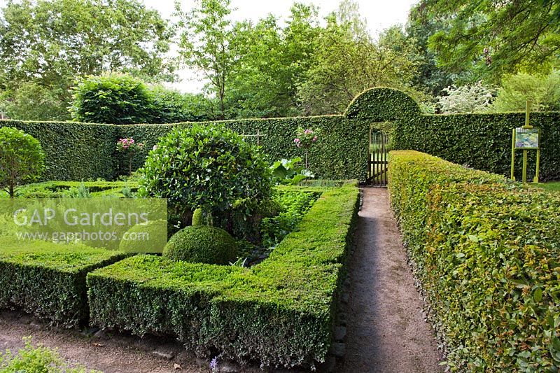 Formal box edged beds planted with herbs and vegetables, Dina Deferme garden